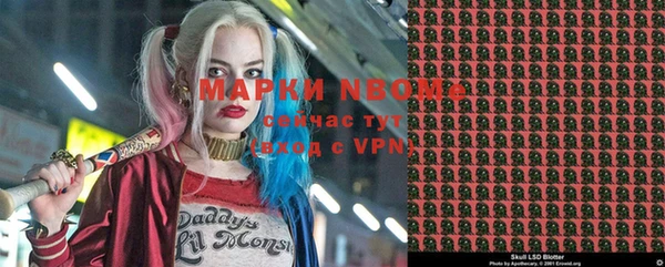 ПСИЛОЦИБИНОВЫЕ ГРИБЫ Арсеньев