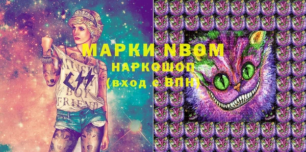 ПСИЛОЦИБИНОВЫЕ ГРИБЫ Арсеньев