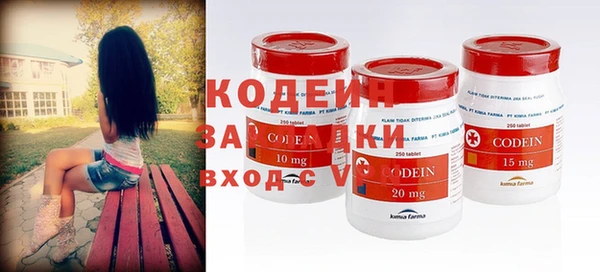 ПСИЛОЦИБИНОВЫЕ ГРИБЫ Арсеньев